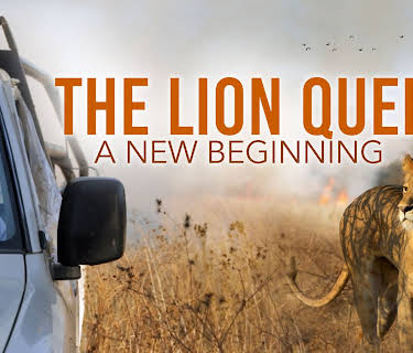 The Lion Queen
