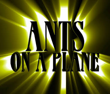 Ants On A  Plane (2007)