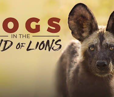 Dogs in the Land of Lions (2018)