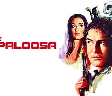 The Appaloosa (1966)