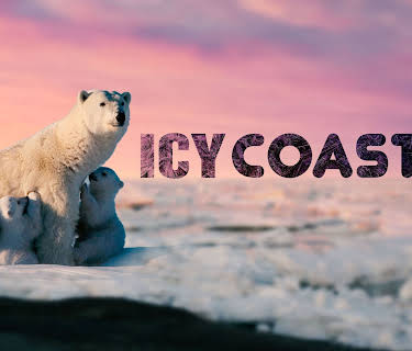 Icy Coast (2020)