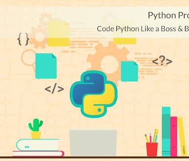 Python Programming: Code Python Like a Boss & Become a Dev!