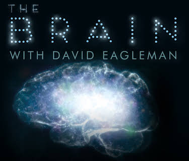 The Brain with David Eagleman