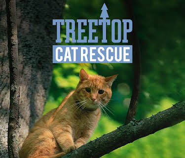 Treetop Cat Rescue, Season 1