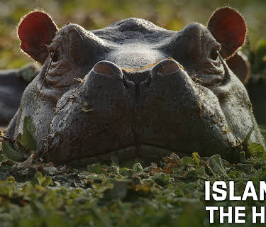 Island of the Hippos (2020)