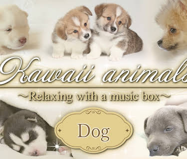 Kawaii animals～Relaxing with a music box～Dog (2025)