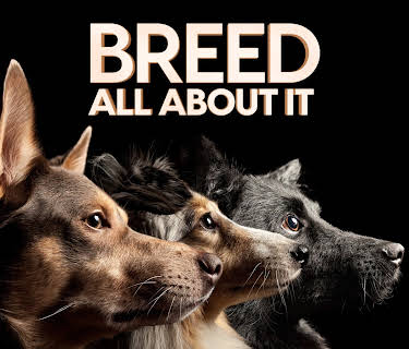 Breed All About It