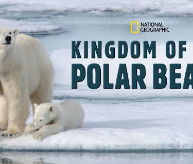 Kingdom Of The Polar Bears