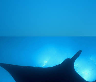 Blue Planet: Seas of Life