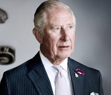 Charles, The Monarch and the Man (2024)