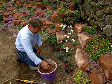 Alan Titchmarsh