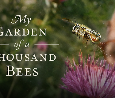 My Garden of a Thousand Bees (1982)