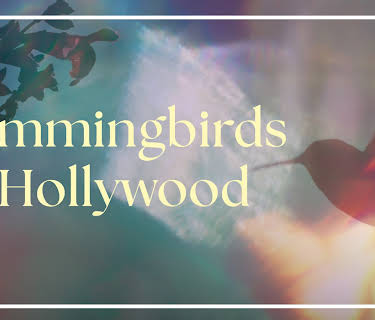 Hummingbirds of Hollywood (2024)