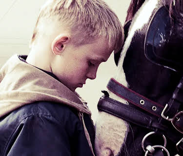 The Selfish Giant (2013)