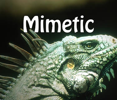 Mimetic (2018)