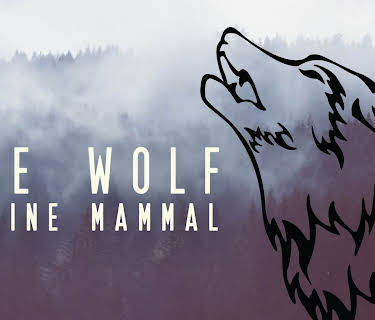 The Wolf Marine Mammal (2014)