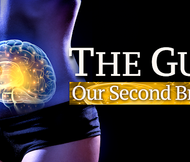 The Gut: Our Second Brain (2013)
