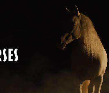 Horses (2020)