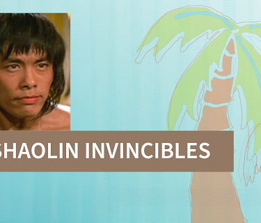 Shaolin Invincibles (2007)