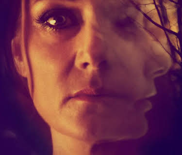 The Duke of Burgundy (2015)