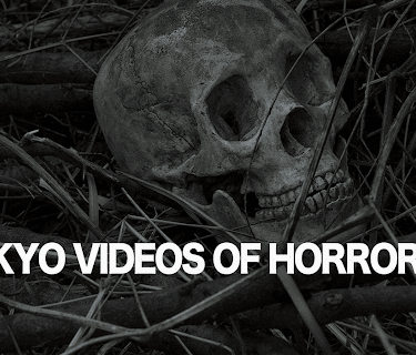 Tokyo Videos of Horror 13 (2015)