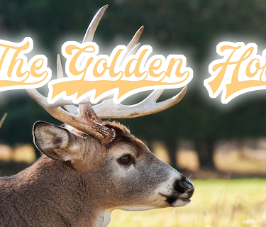 The Golden Horns (1973)