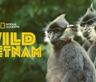 Wild Vietnam