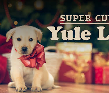 Super Cute Yule Log