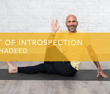 Twist of Introspection (2025)