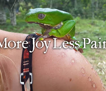 More Joy Less Pain (2020)