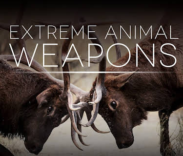 Extreme Animal Weapons (1974)