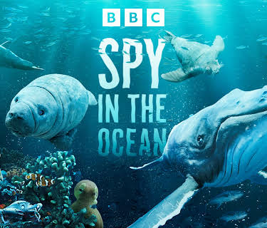 Spy in the Ocean