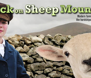 Stuck on Sheep Mountain