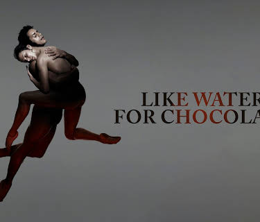 Like Water for Chocolate (1993)