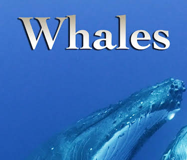 Whales (2012)
