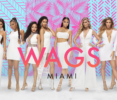 Wags: Miami, Season 1