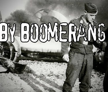 Baby Boomerang (2009)