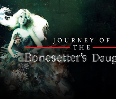 Journey of the Bonesetter's Daughter (2011)