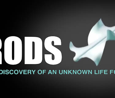RODS (2001)