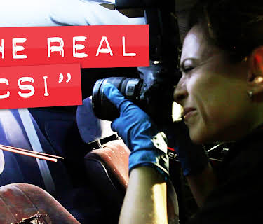 The Real CSI (1983)