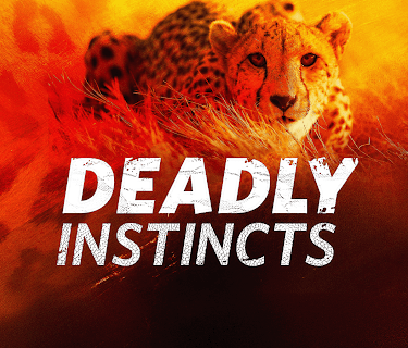 Deadly Instincts Season 1