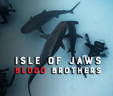 Isle Of Jaws: Blood Brothers (2019)