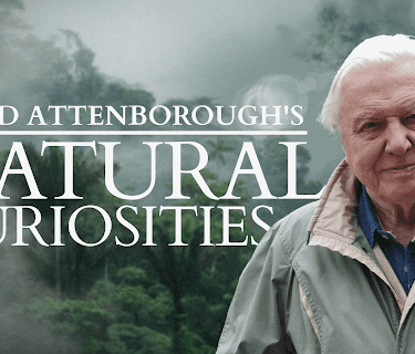 David Attenborough's Natural Curiosities, Season 1
