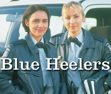 Blue Heelers