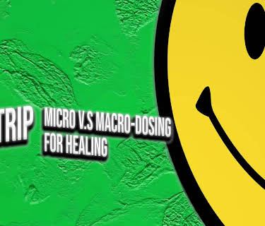 Have a Nice Trip: Micro v.s Macro Dosing for Healing (2021)