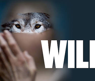 Wild (2022)