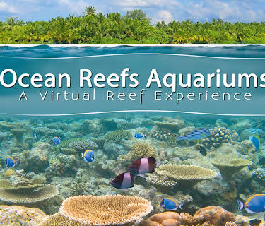 Tropical Reef And Ocean Aquarium (No Dialog) (2016)