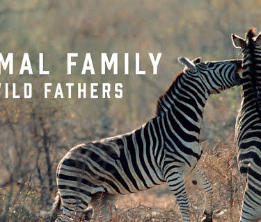 Animal Family: Wild Fathers (1998)