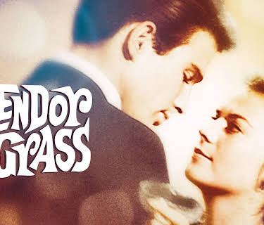 Splendor in the Grass (1961) (1961)