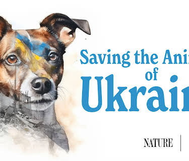 Saving the Animals of Ukraine (2024)